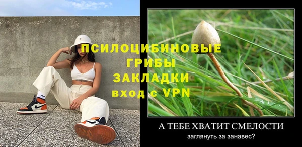 соль курить ск Ладушкин