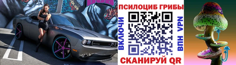 наркота  Усть-Катав  Галлюциногенные грибы Psilocybine cubensis 